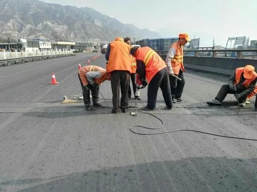 枫木镇道路桥梁病害治理